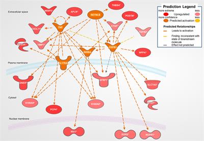 In Silico Analysis of Differential Gene Expression in Three Common Rat Models of Diastolic Dysfunction